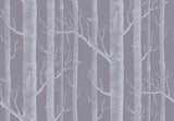 Woods