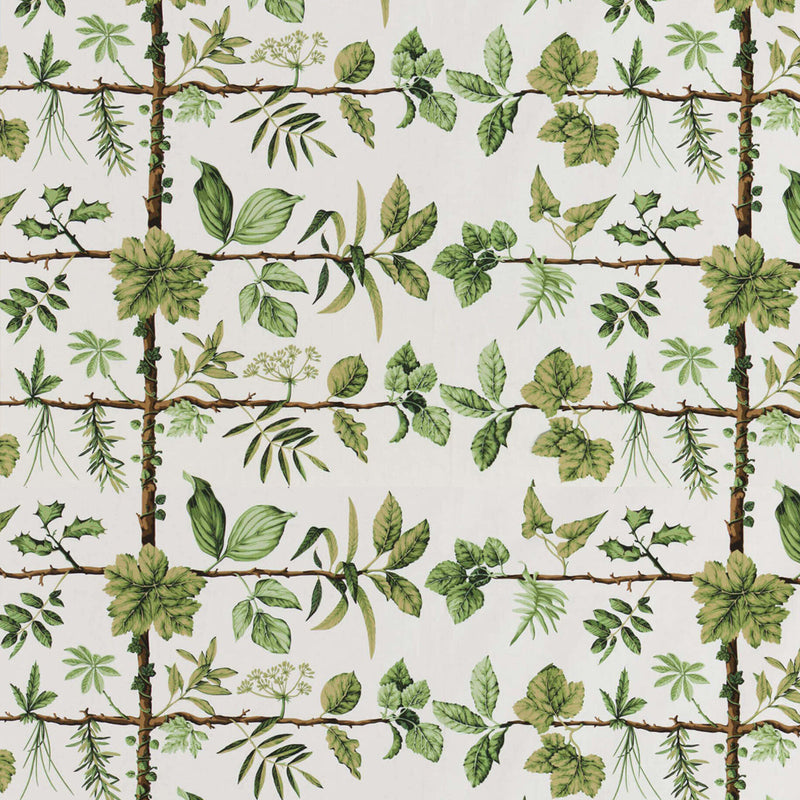 Espalier