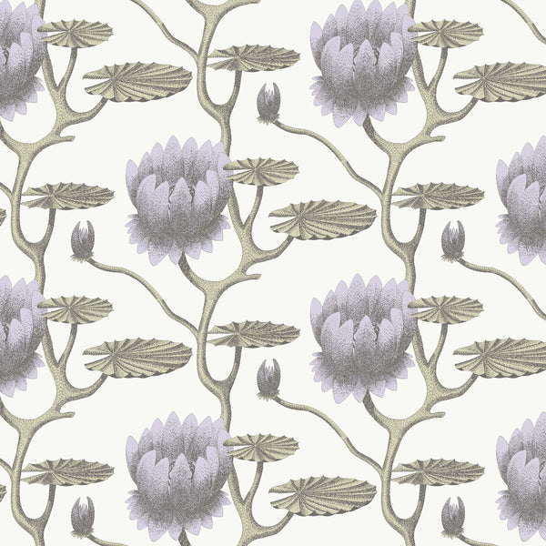 Carta da Paraty SUMMER LILY